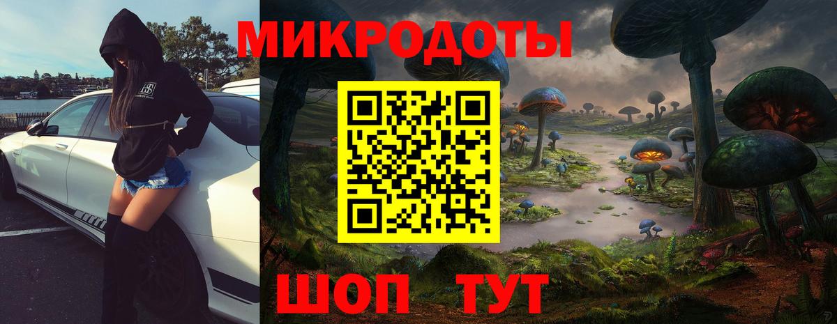 Аша  купить наркотики сайты  Вход с VPN  Галлюциногенные грибы Psilocybe 